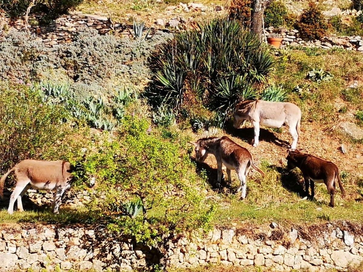 Les Git'Anes De Ponteves Villa Dış mekan fotoğraf
